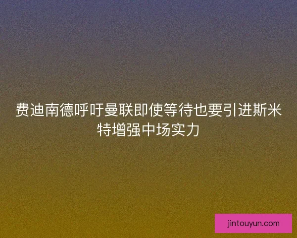 费迪南德呼吁曼联即使等待也要引进斯米特增强中场实力
