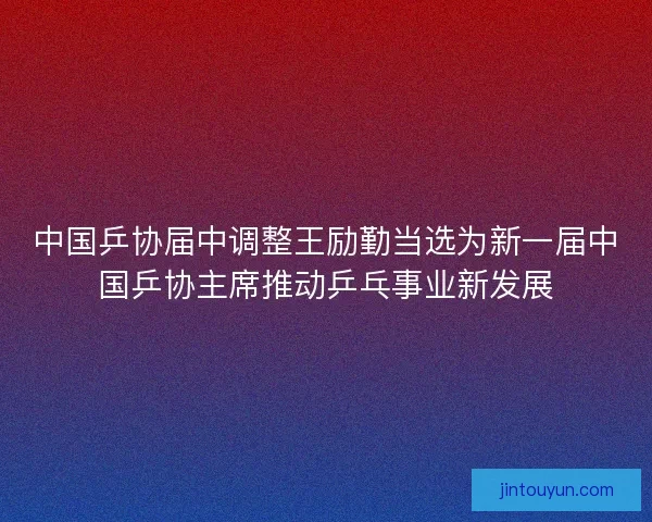 中国乒协届中调整王励勤当选为新一届中国乒协主席推动乒乓事业新发展