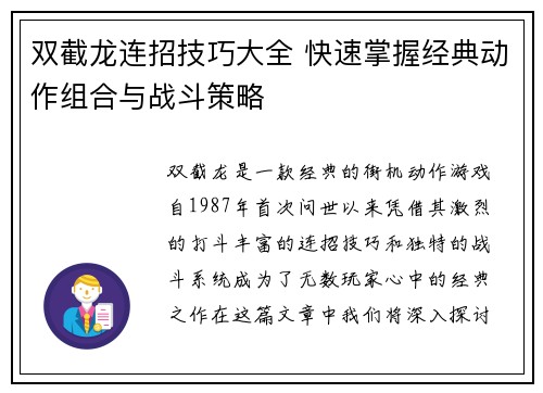 双截龙连招技巧大全 快速掌握经典动作组合与战斗策略